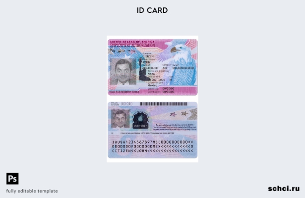 скачать цифровой шаблон разрешения на трудоустройство в США
